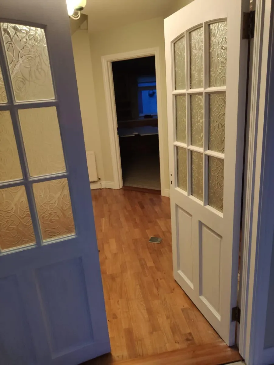 Internal Double doors with glass detail - Image 2