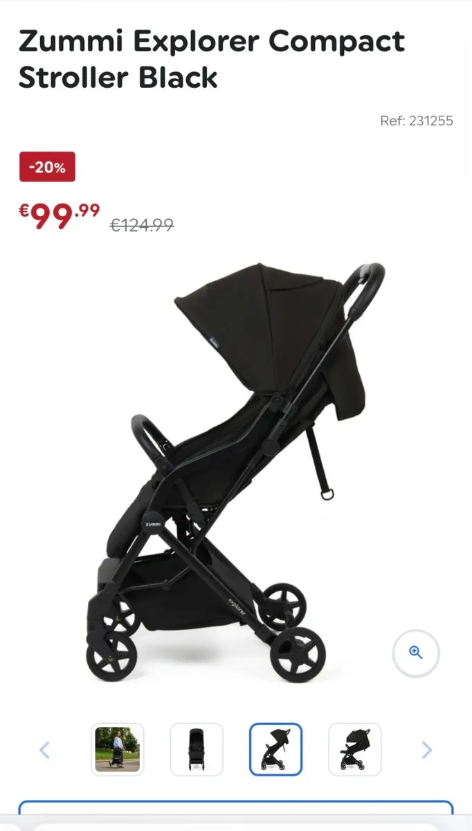 Lummi explorer buggy - Image 3