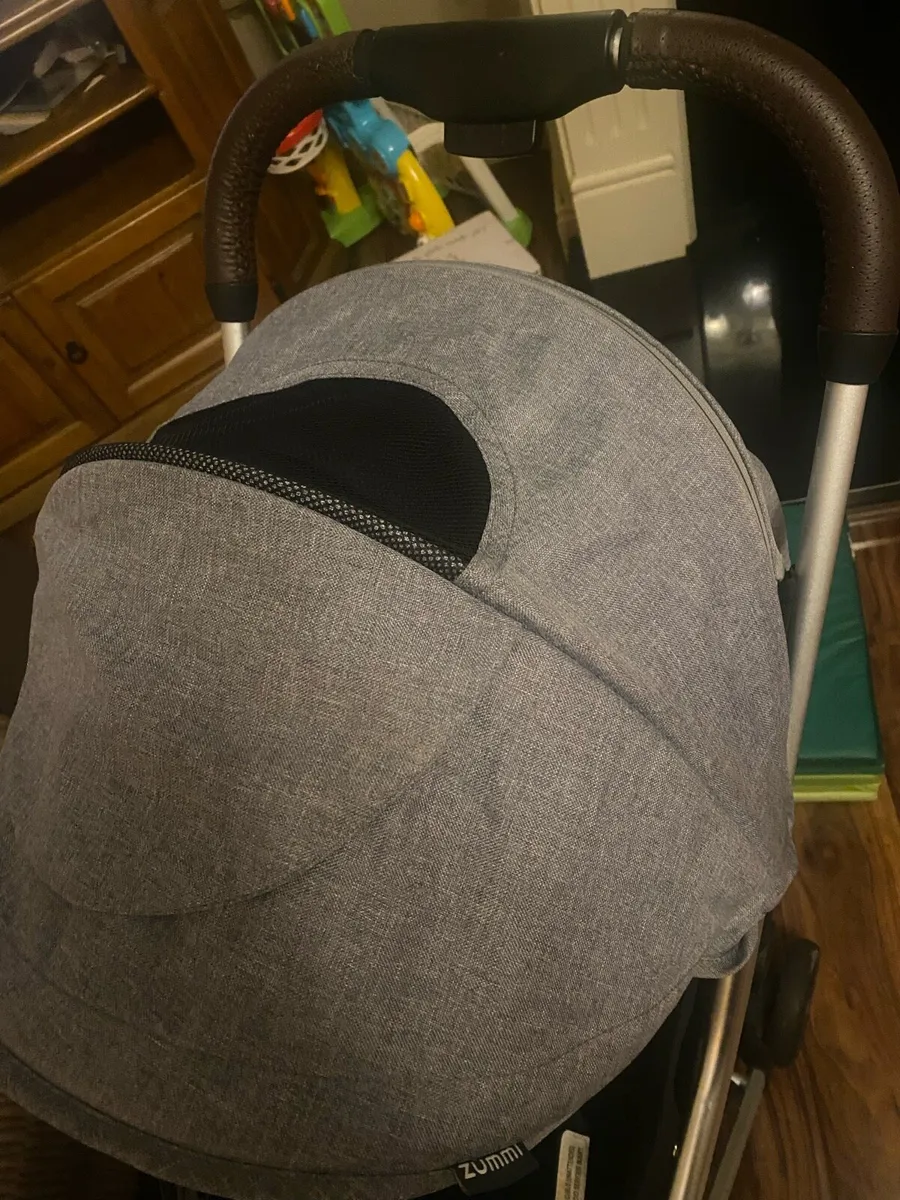 Lummi explorer buggy - Image 2