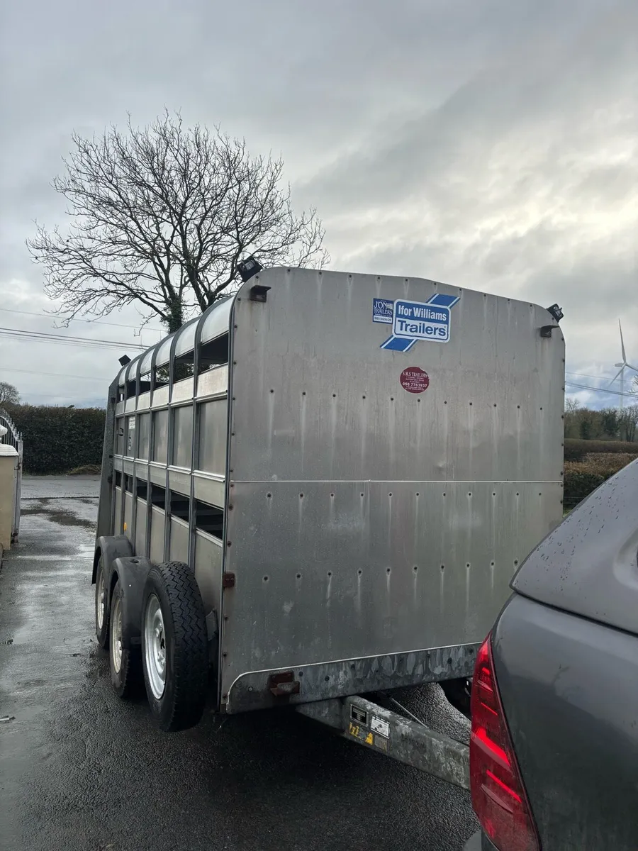 cattle / sheep trailer - Image 2