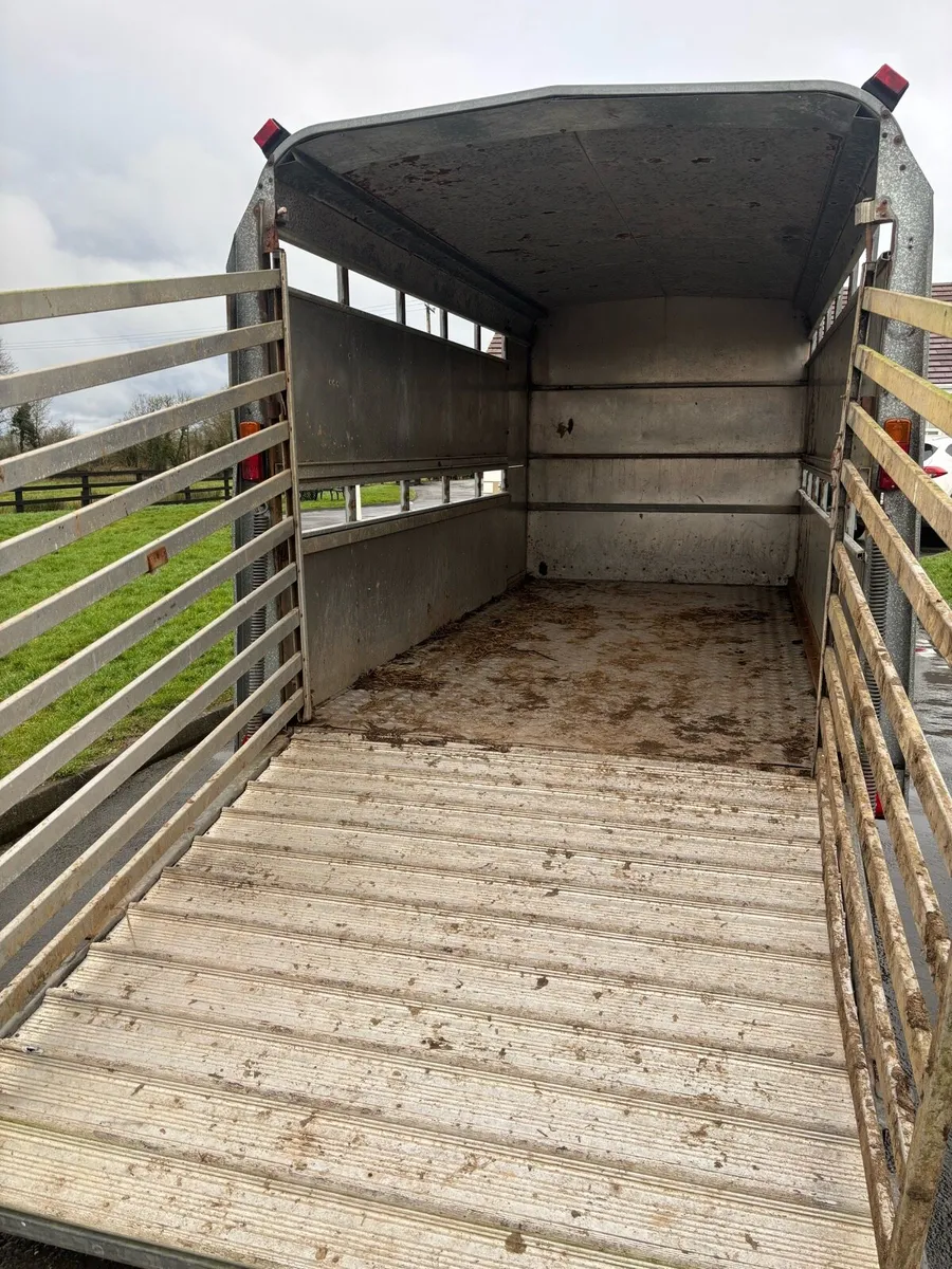 cattle / sheep trailer - Image 4