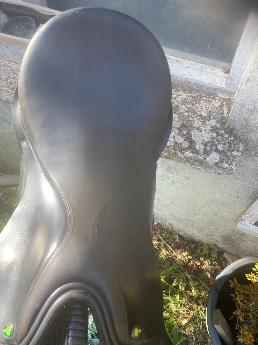 Leather saddle  18.5 Ainsley saddle - Image 3