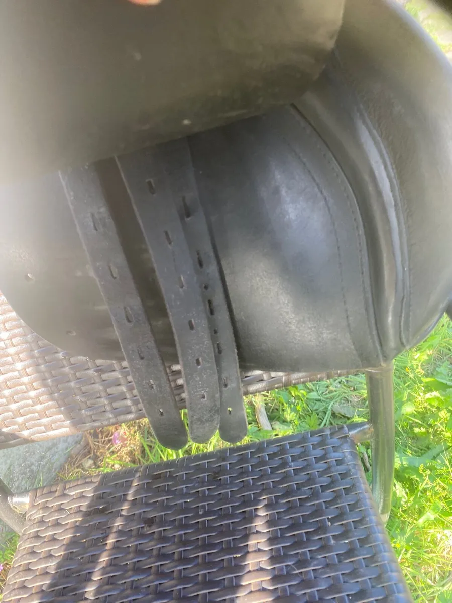 Leather saddle  18.5 Ainsley saddle - Image 4