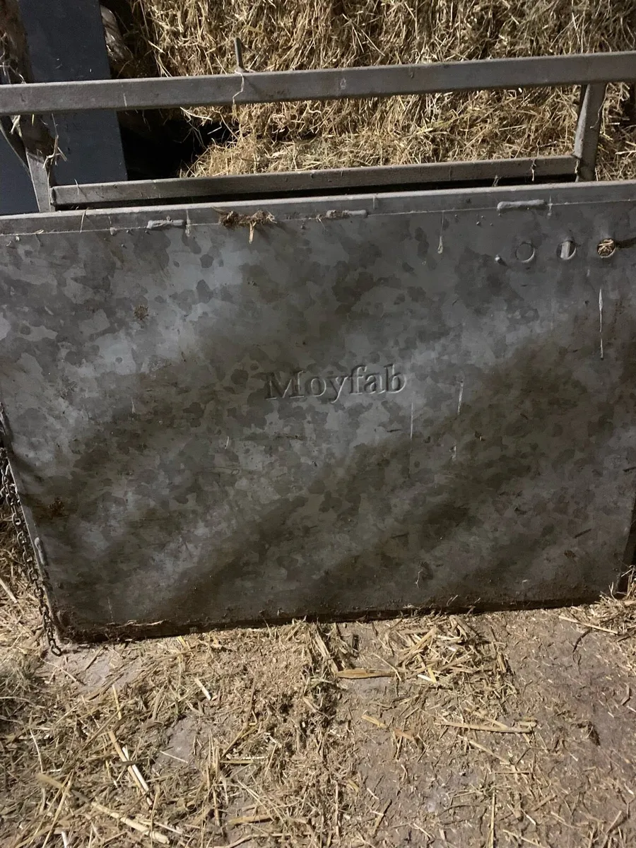 Moyfab dehorning crate - Image 4