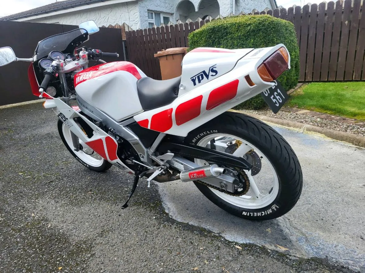 Yamaha TZR250 YPVS Mint - Image 3