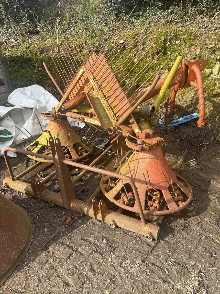 Hay lely for sale - Image 1