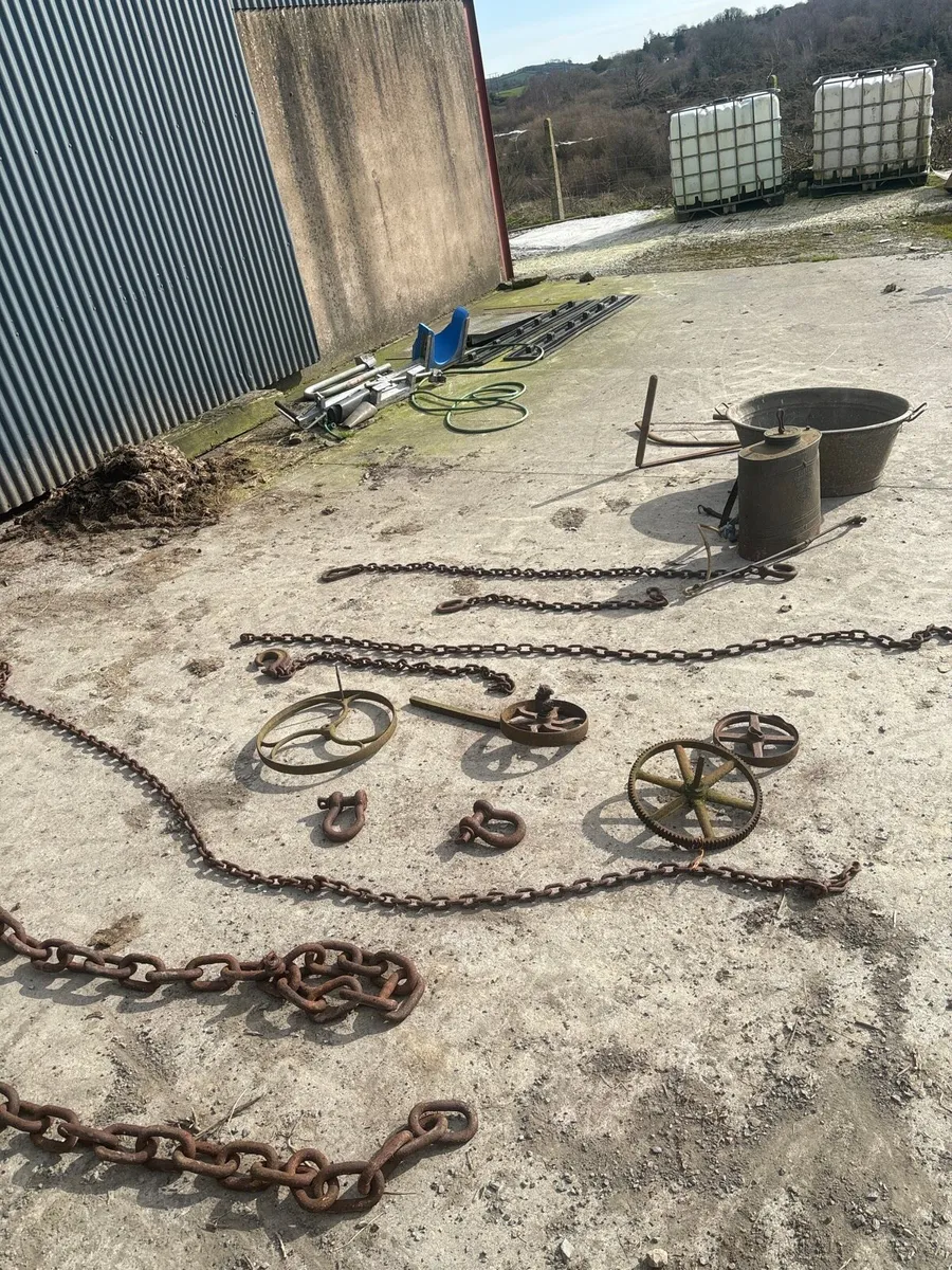 Hay lely for sale - Image 2