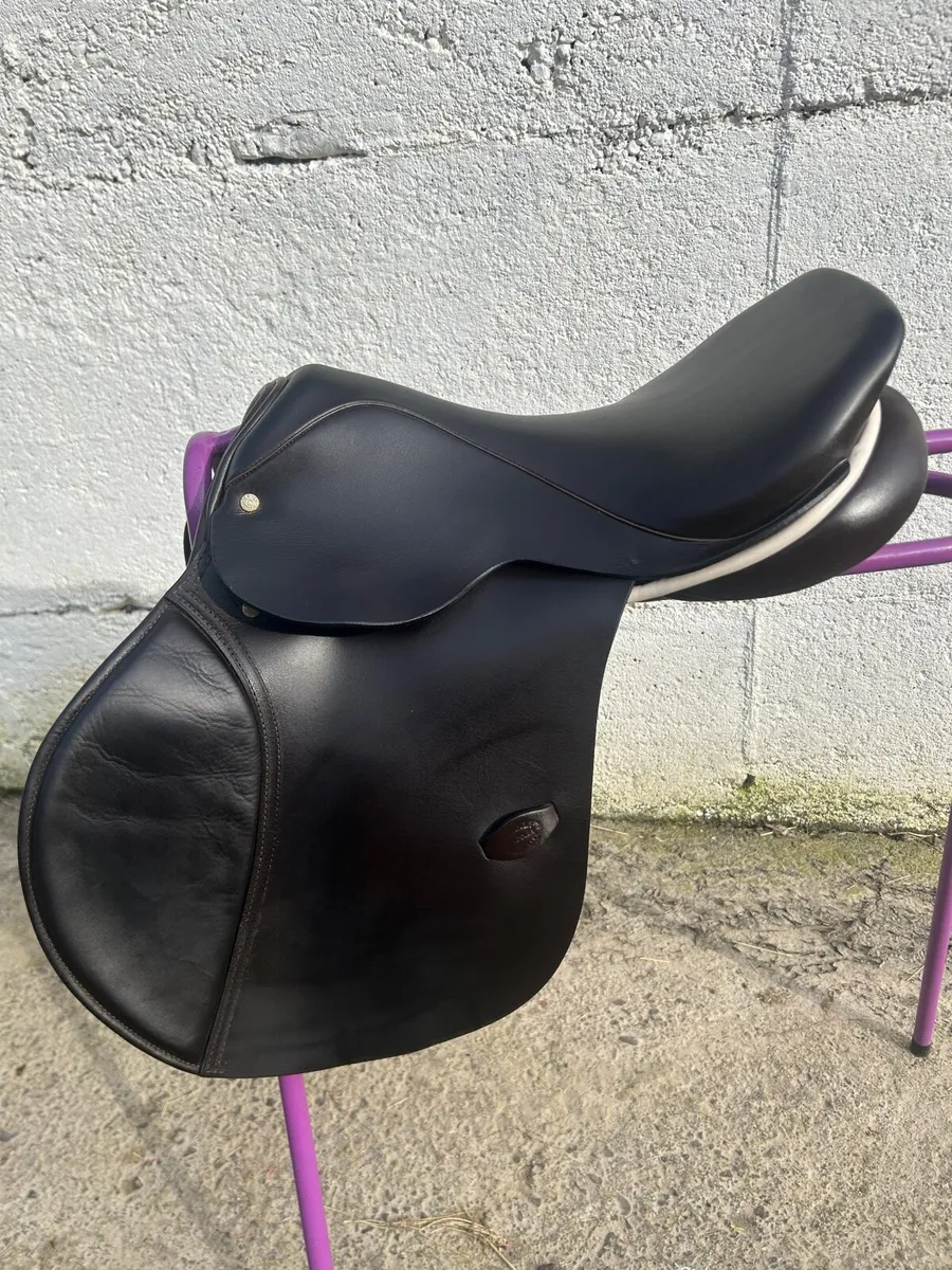 Stunning Berney saddle - Image 1