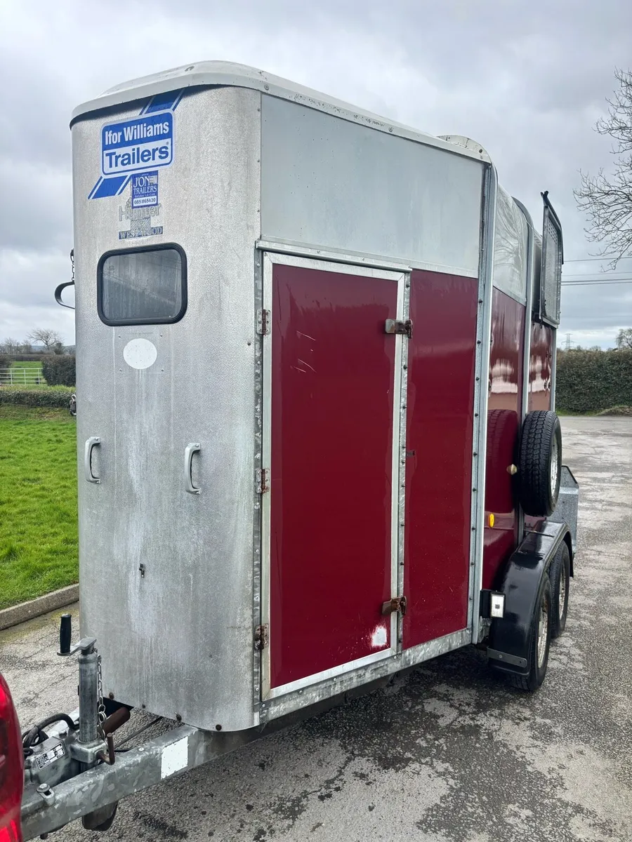 Iforwilliams HB505 - Image 2