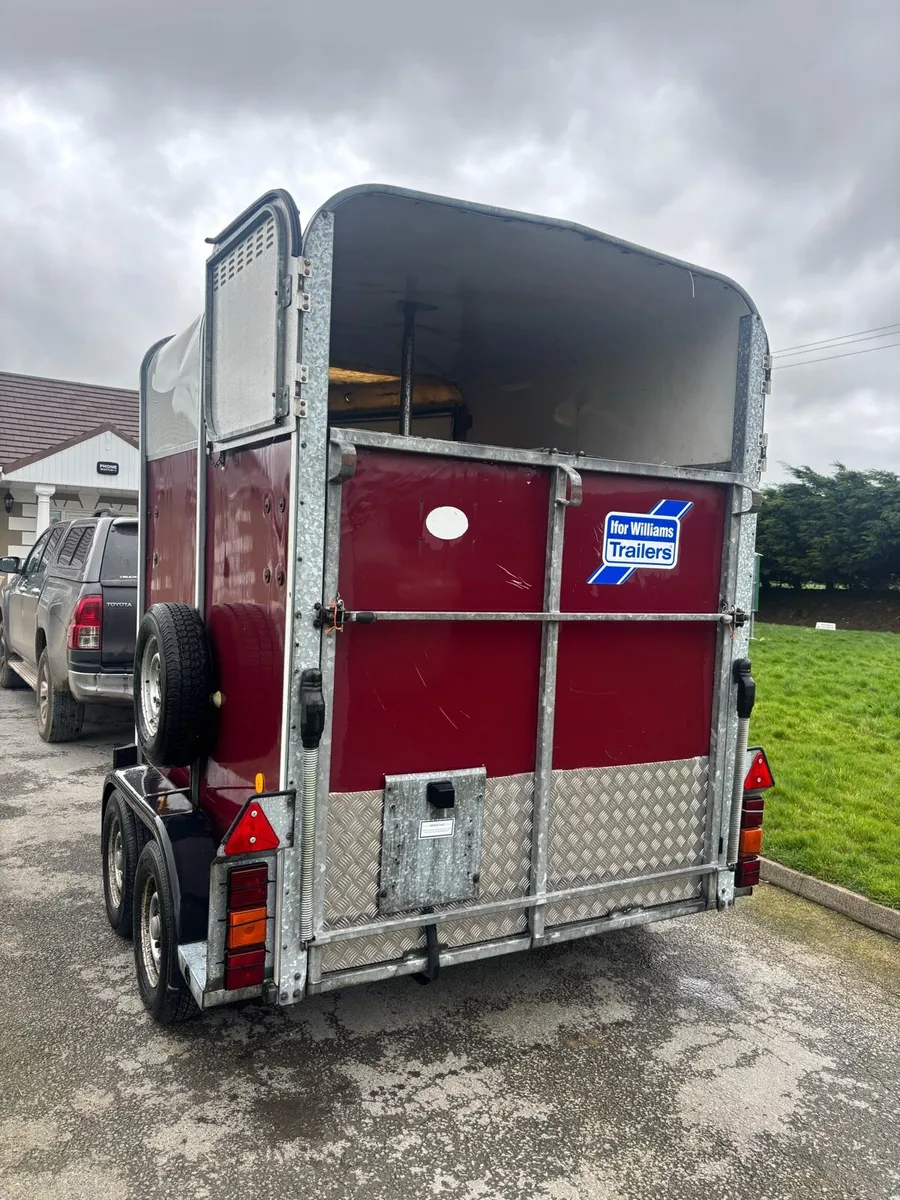 Iforwilliams HB505 - Image 3