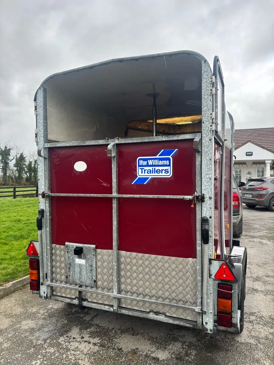 Iforwilliams HB505 - Image 4