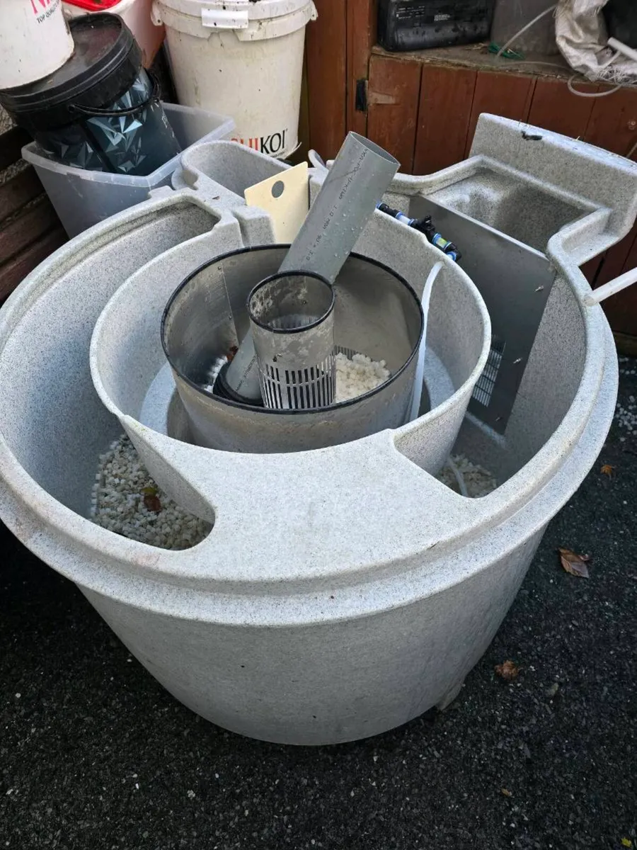 KOI CARP AND.POND EQUIPMENT - Image 2