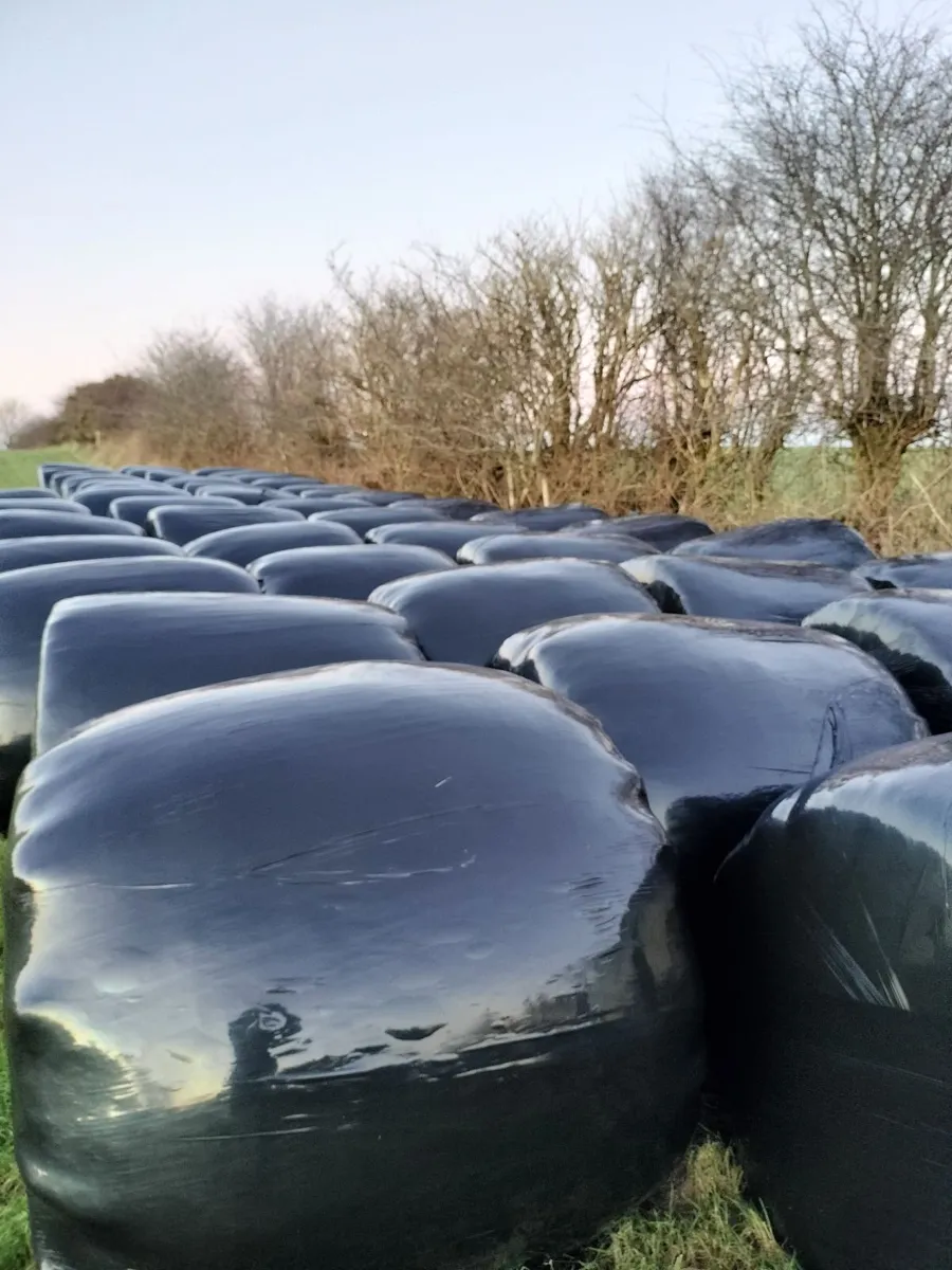 Silage Bales