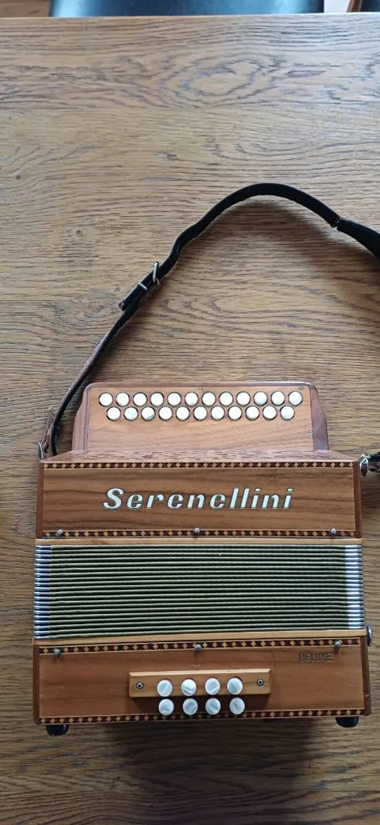 Button Accordion - Image 1