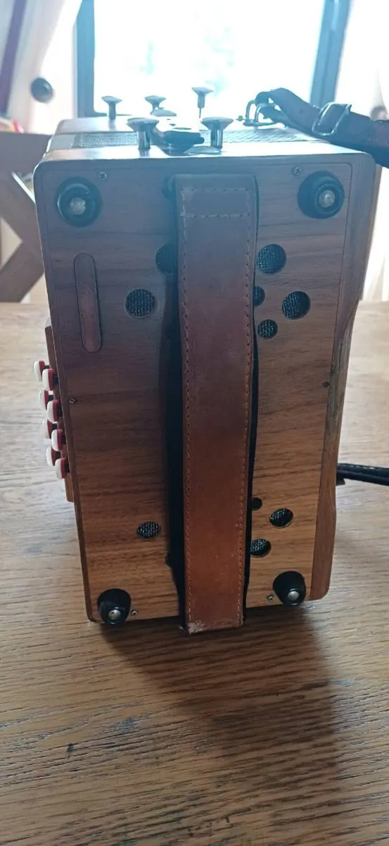 Button Accordion - Image 4