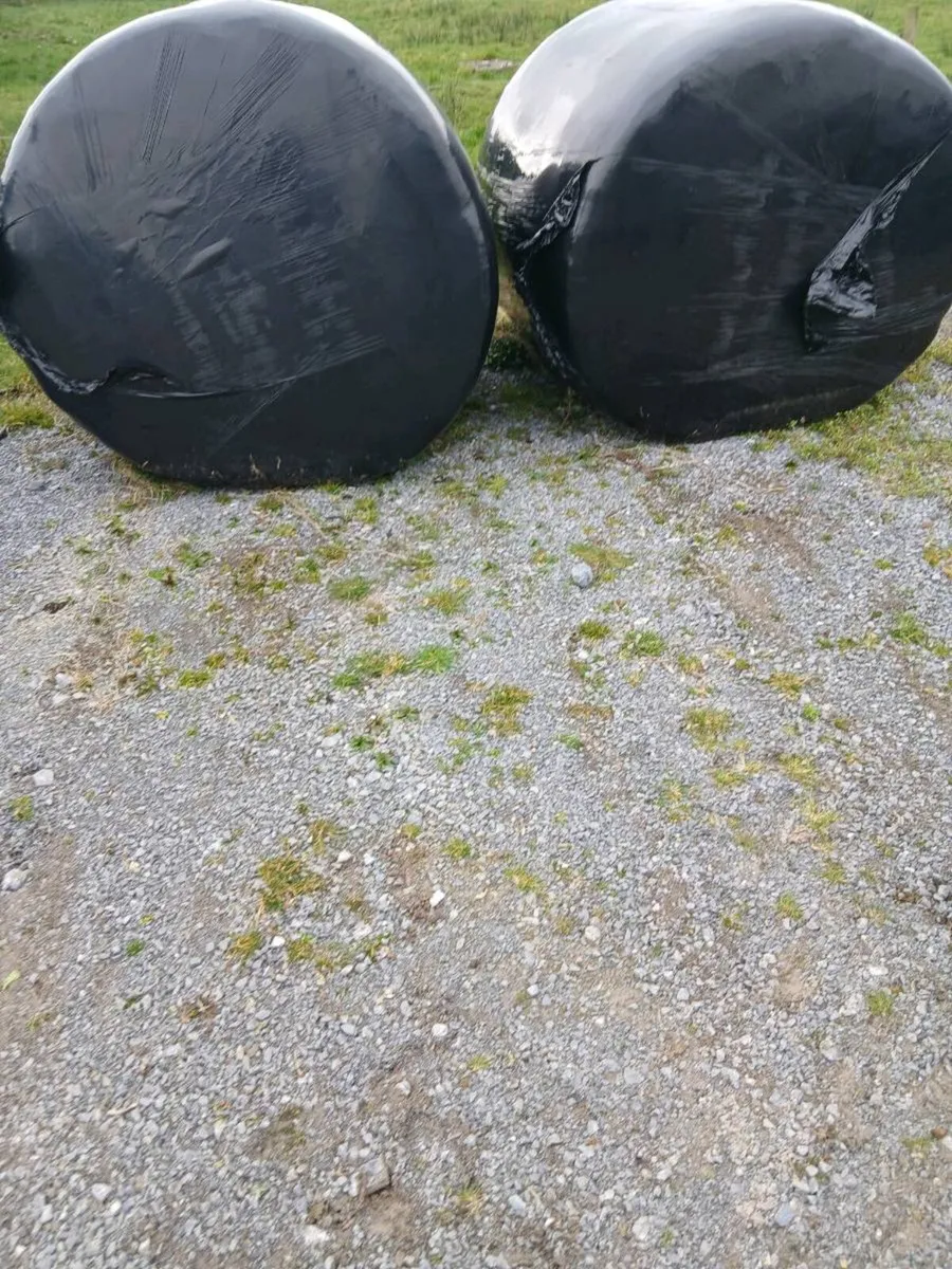 Bales of silage - Image 1
