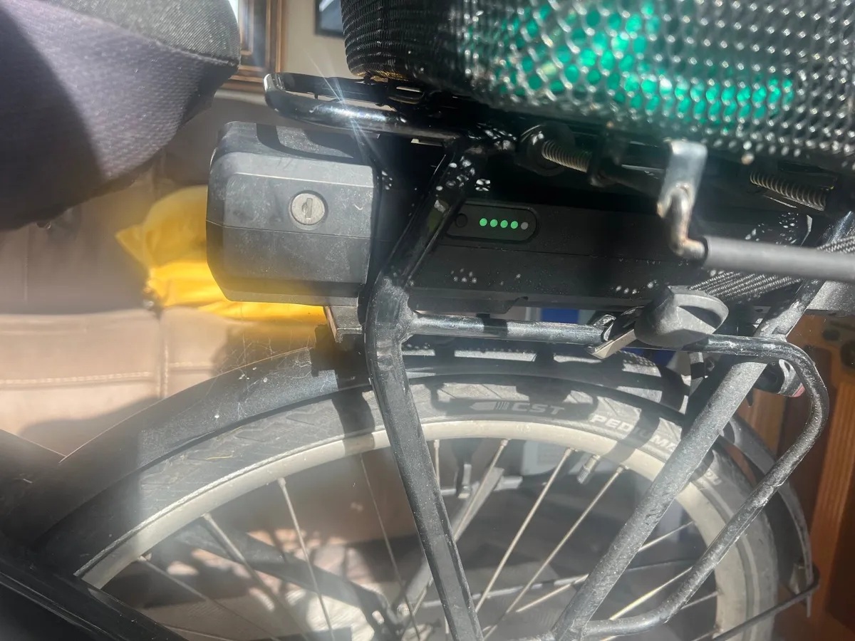 Electric  bike - Image 3