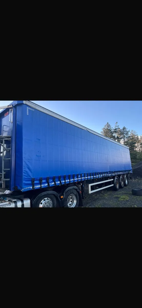 2014 sdc chip liner - Image 2