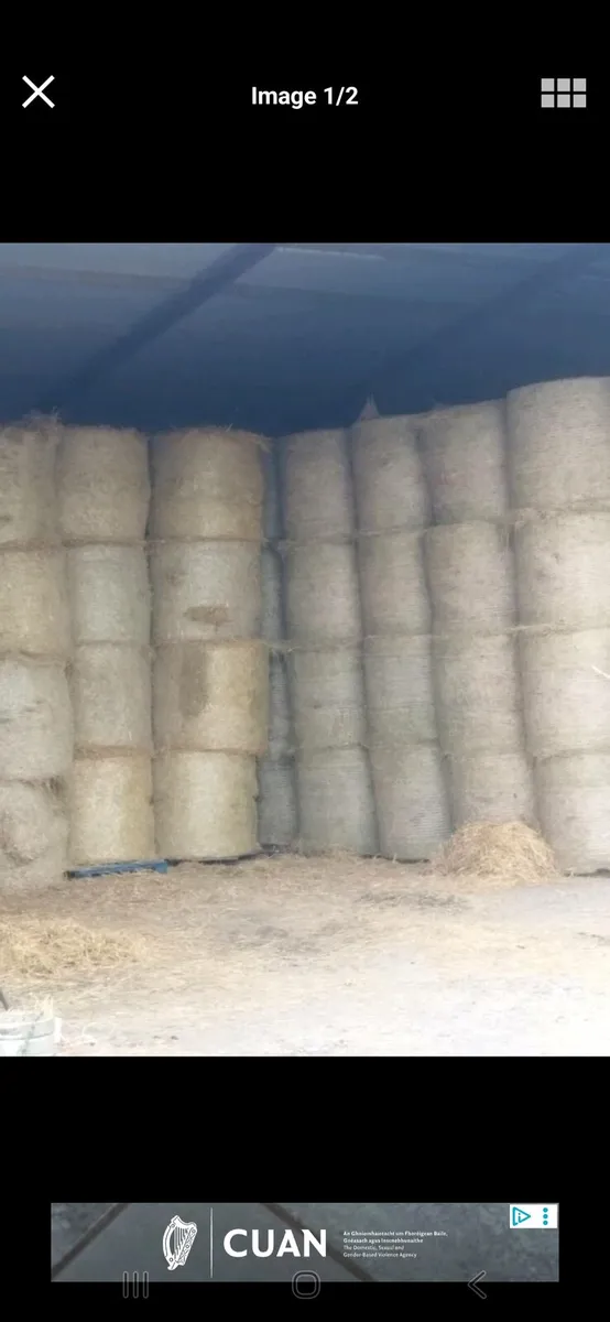 Round and square bales of hay for sale - Image 2