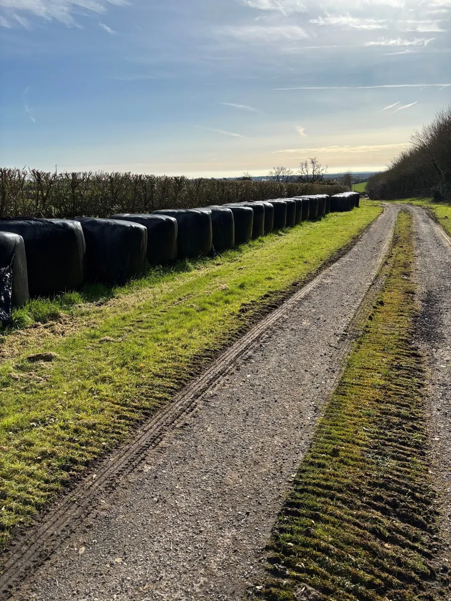 Silage bales for sale - Image 1