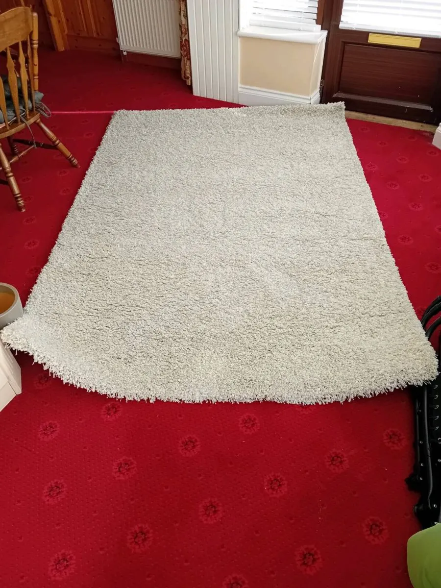 Large rug - Image 1