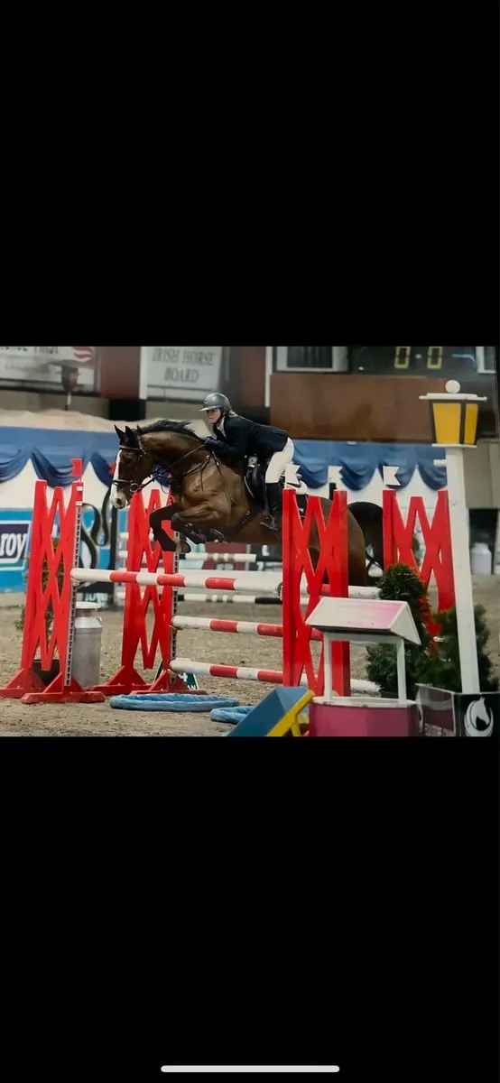 Competitive Pony - Image 4