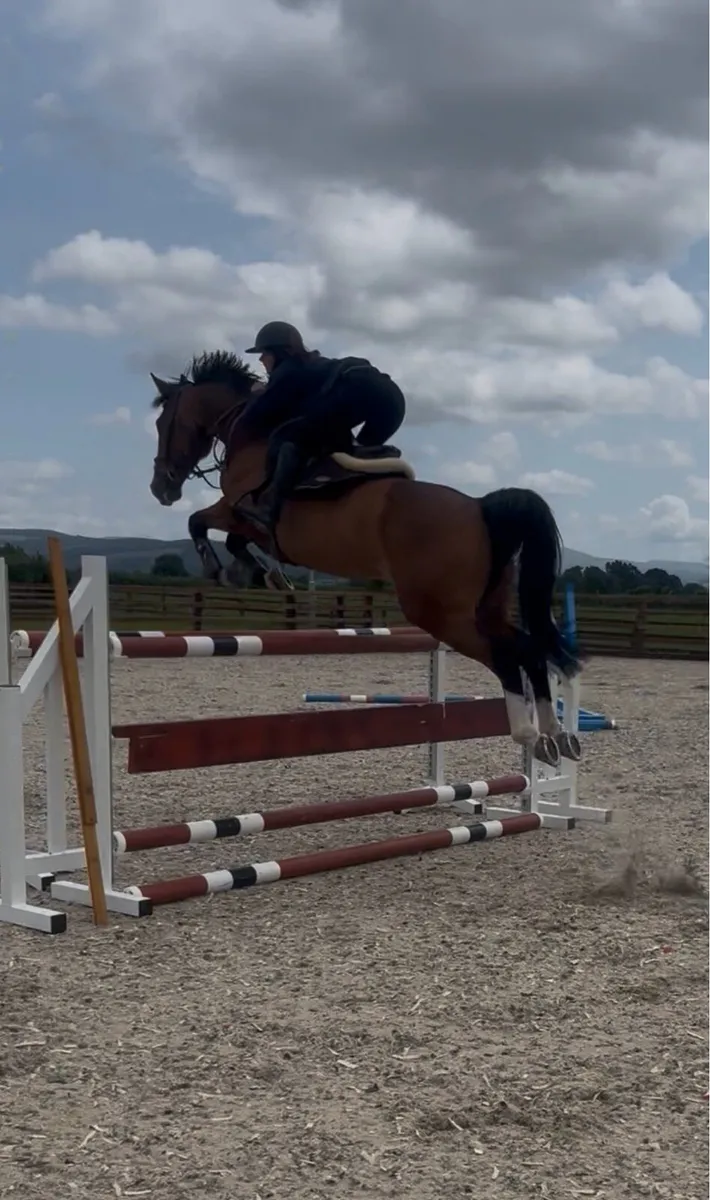 Competitive Pony - Image 2