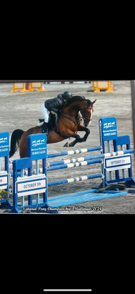 Competitive Pony - Image 1