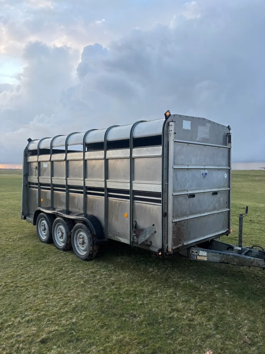 Ifor Williams 14x6 Tri Axle Livestock Trailer - Image 1
