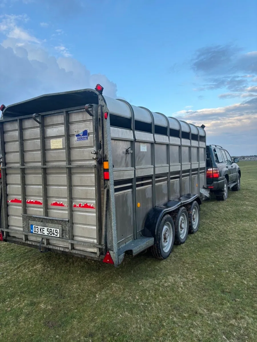 Ifor Williams 14x6 Tri Axle Livestock Trailer - Image 2