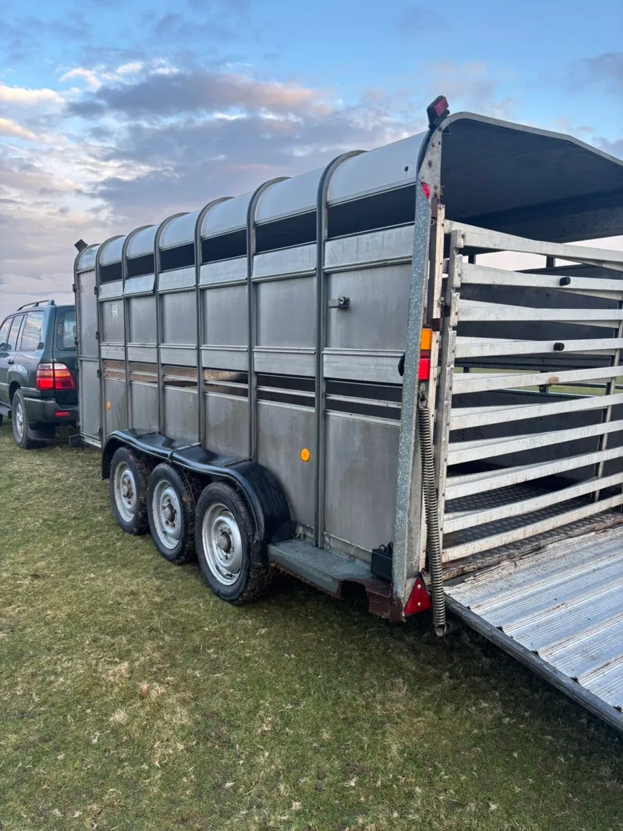 Ifor Williams 14x6 Tri Axle Livestock Trailer - Image 3