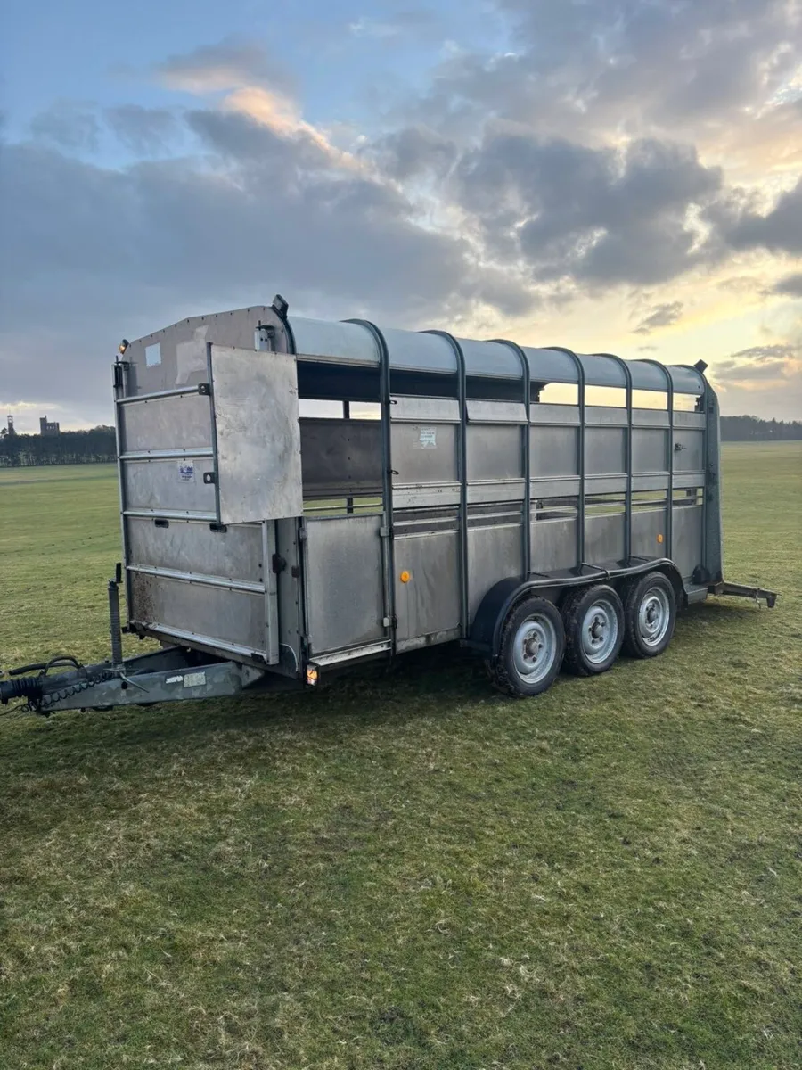 Ifor Williams 14x6 Tri Axle Livestock Trailer - Image 4