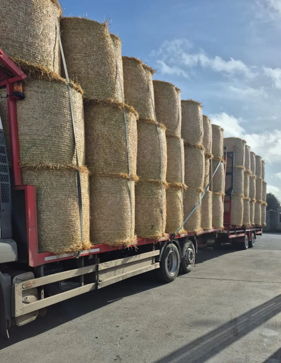 Straw for sale - Image 1