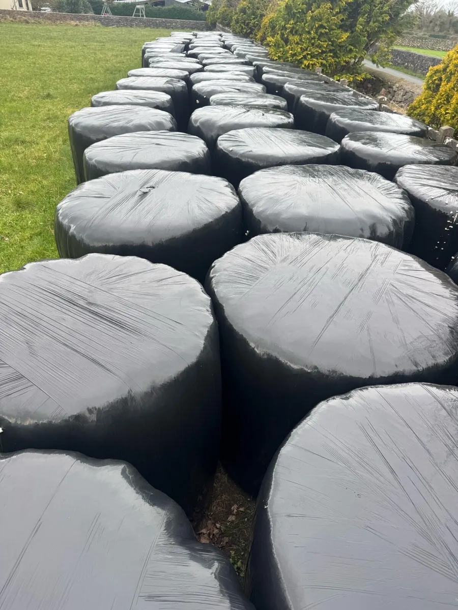 Top Quality Bales - Image 1