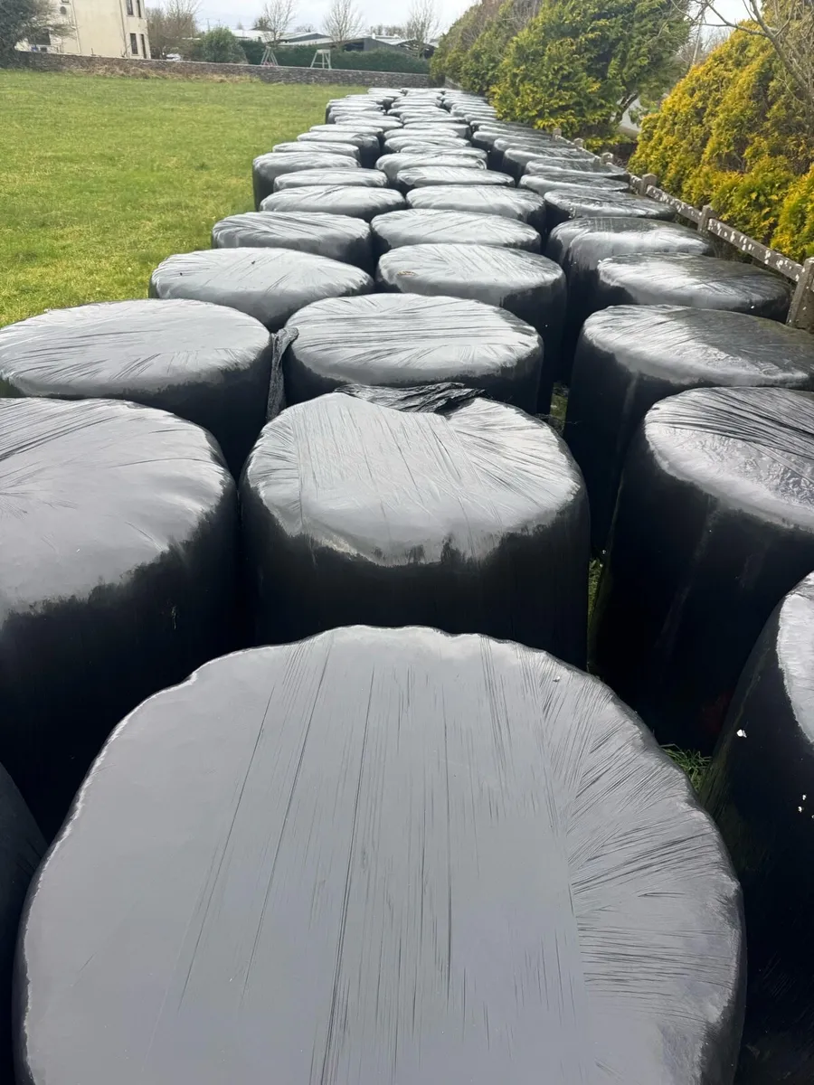 Top Quality Bales - Image 2