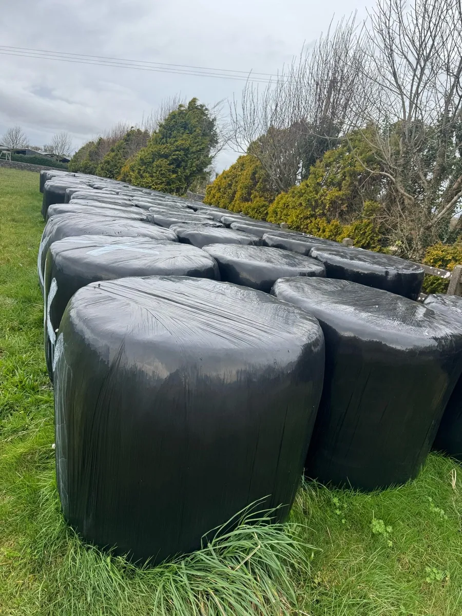 Top Quality Bales - Image 3