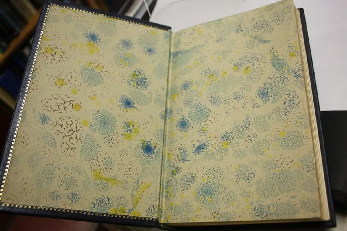 America and Ireland 1776-1976 - Image 4