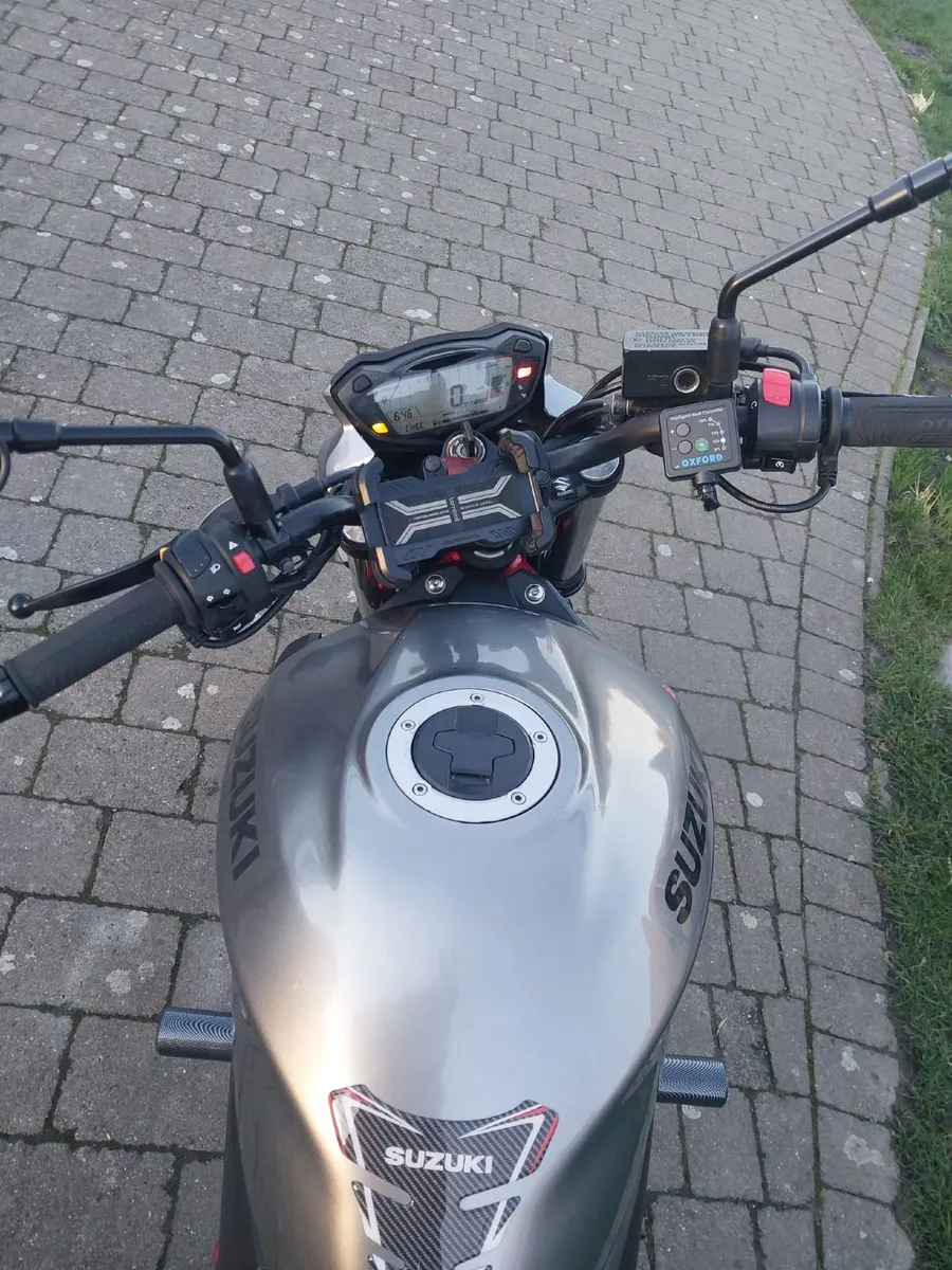 Suzuki SV650  -  2019 - Image 3
