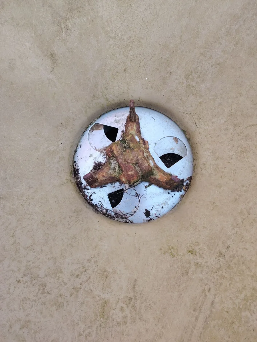 Fertilizer spreader/shaker - Image 2