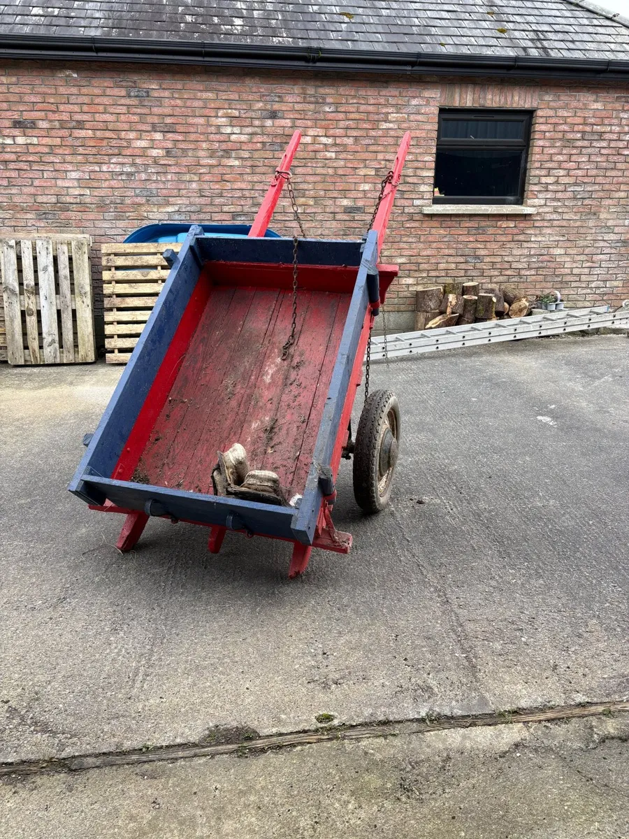 Donkeys cart - Image 2