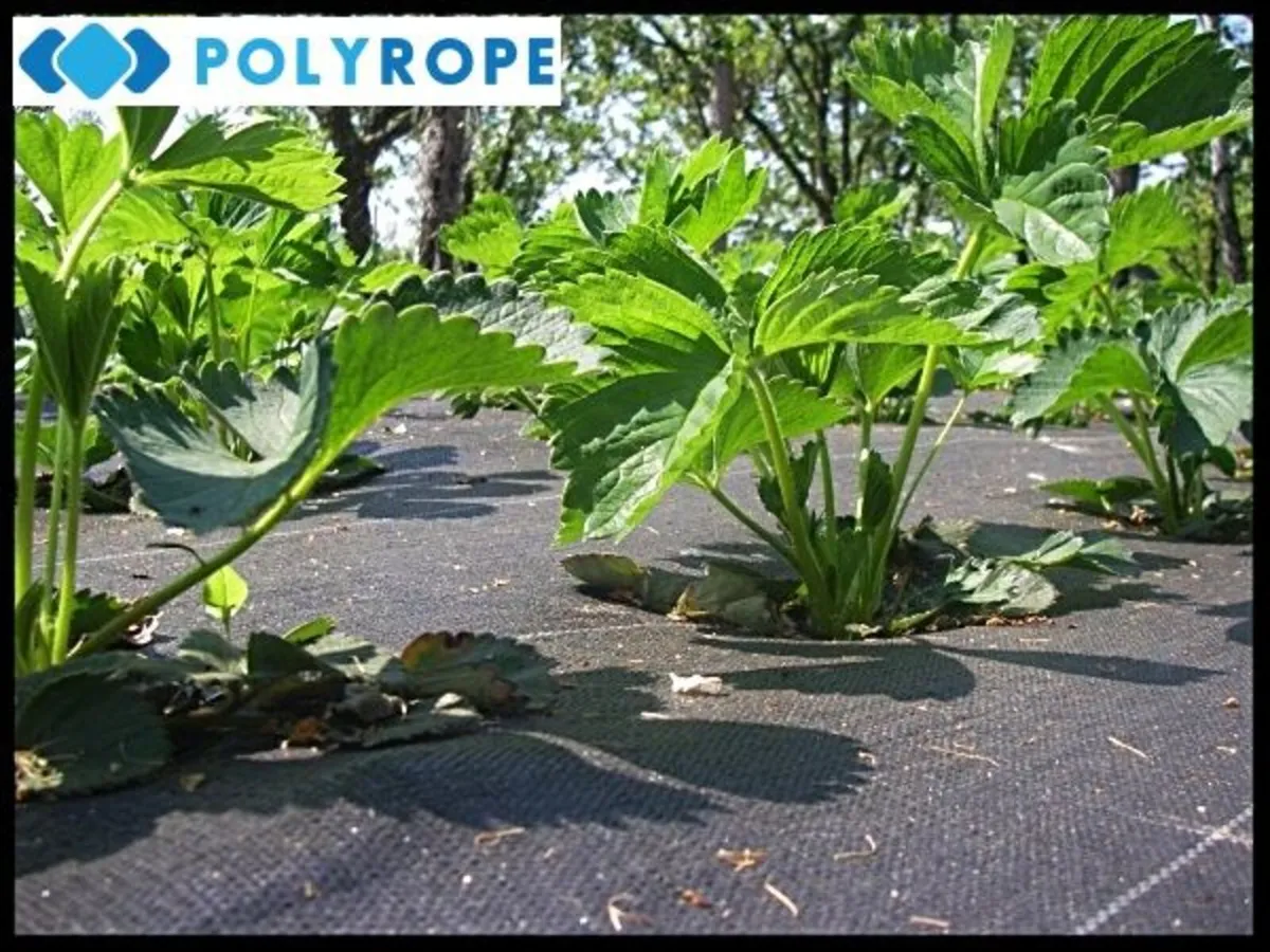 Weed Control Barrier Fabric Heavy Duty - Image 3