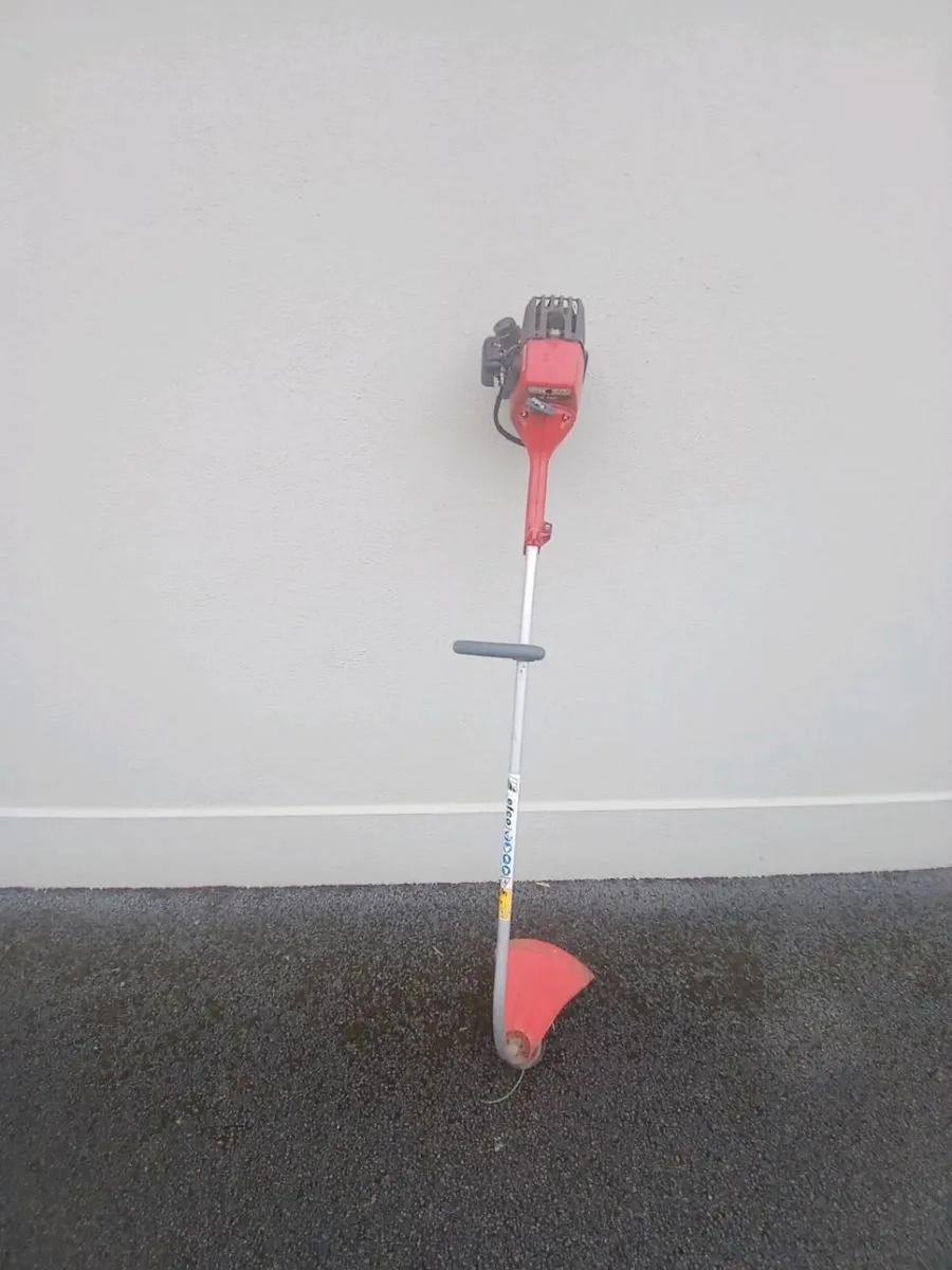 Strimmer ( for repairs ) - Image 2