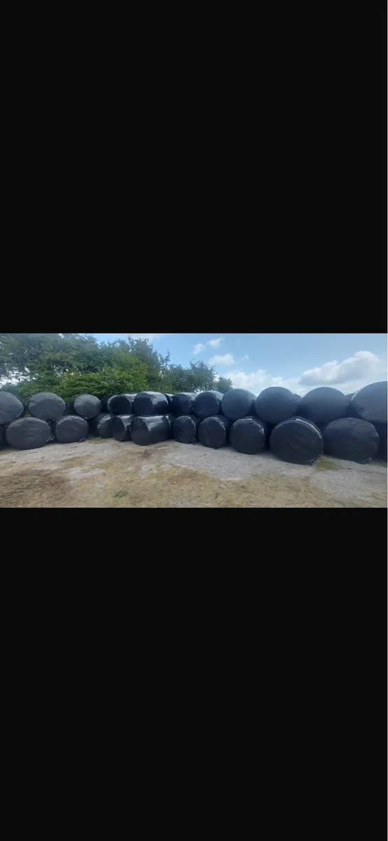 Bales - Image 1