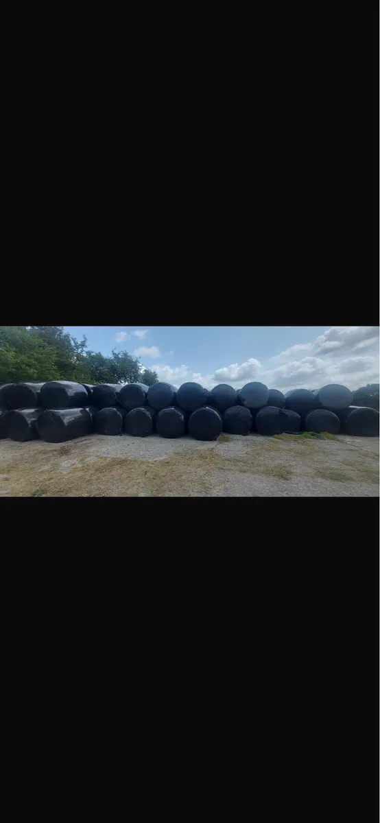 Bales - Image 2