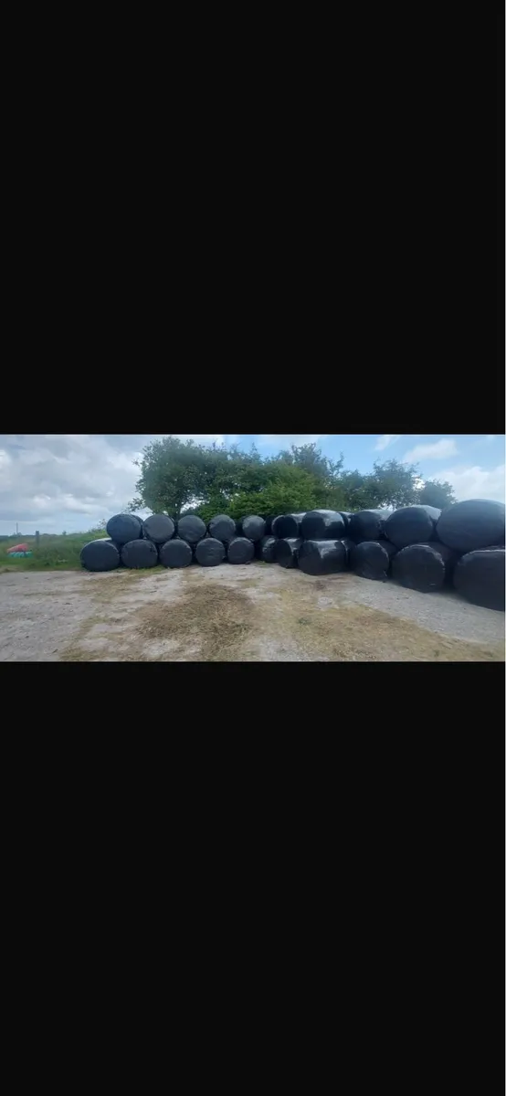Bales - Image 3