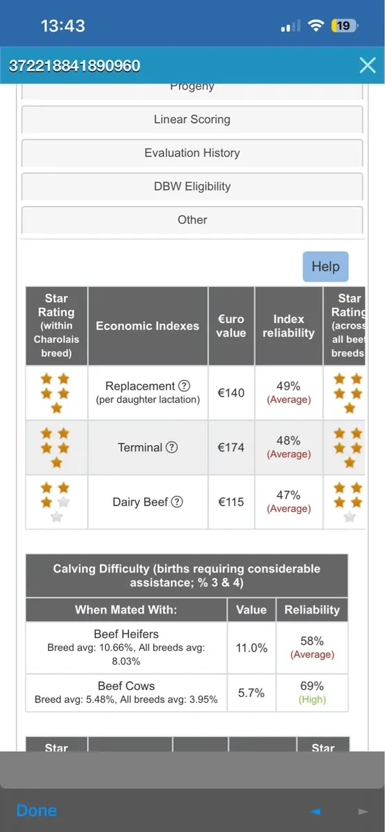 5 ⭐️ pedigree Charolais Bull - Image 3