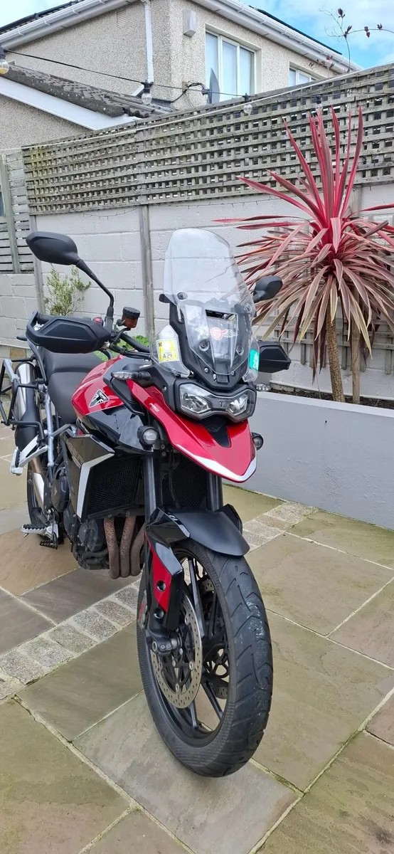 Triumph Tiger 900 GT Pro (2024) - Image 1