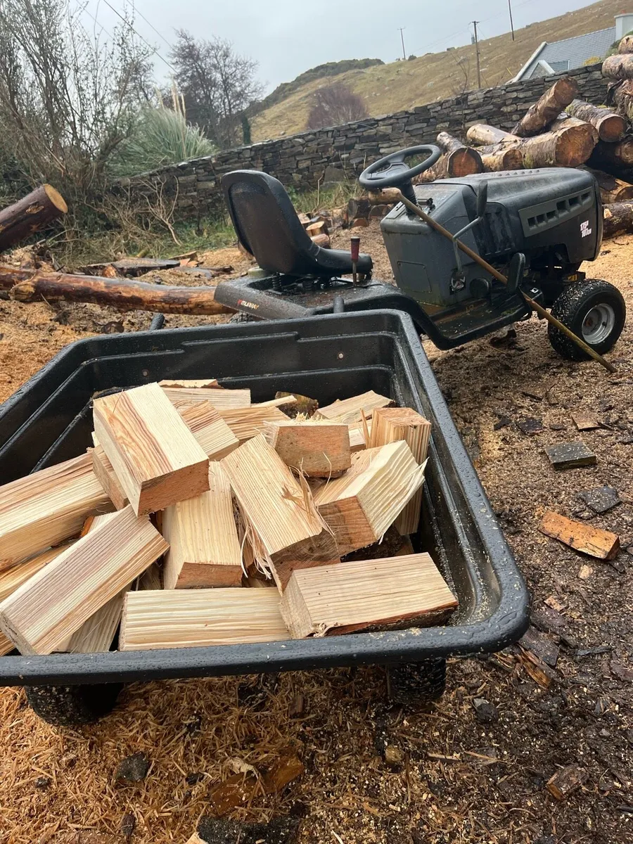 Murray garden tractor and trailer - Image 3