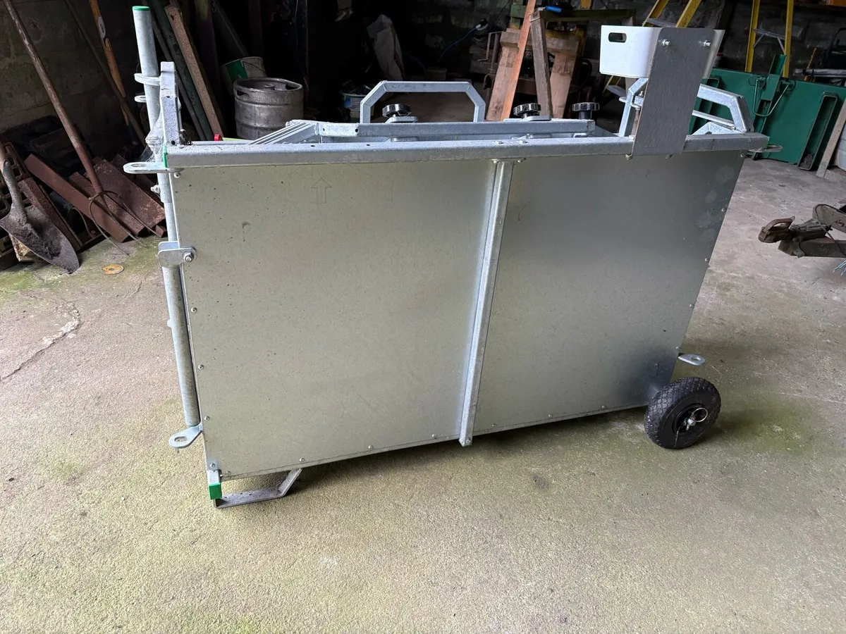 Sheep turn over crate - Image 4