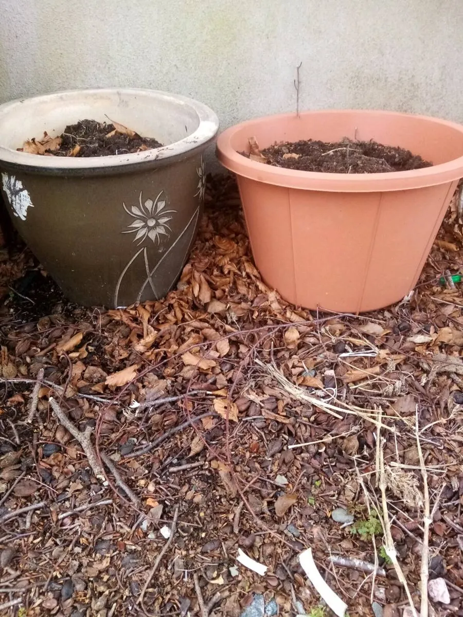 Flower planters - Image 4